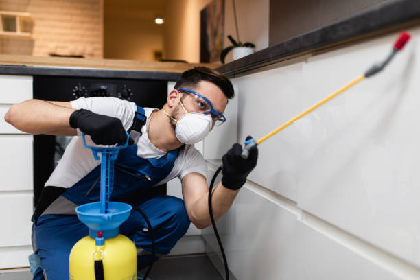Best Mosquito Control Services  in Jericho, NY