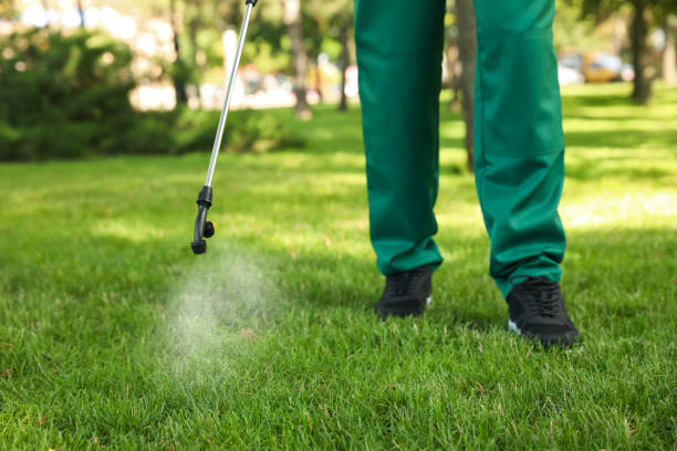 Best Best Pest Control Companies  in Jericho, NY
