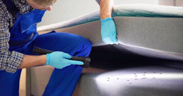 Best Best Pest Control Companies  in Jericho, NY