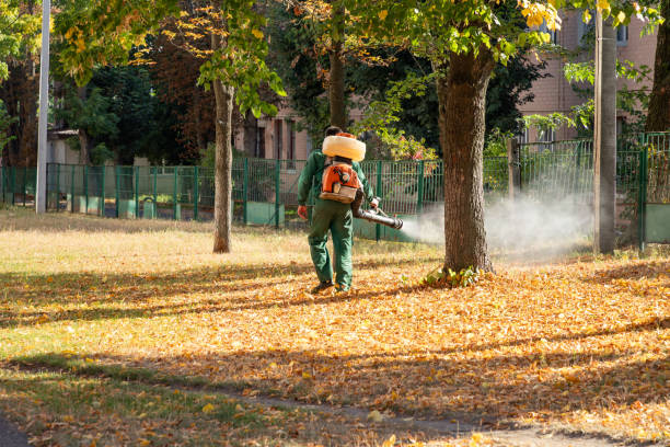 Best Pest Prevention Services  in Jericho, NY